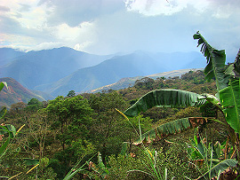 níinná oblast Severní Yungas